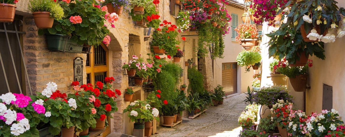 Spello — photo 4