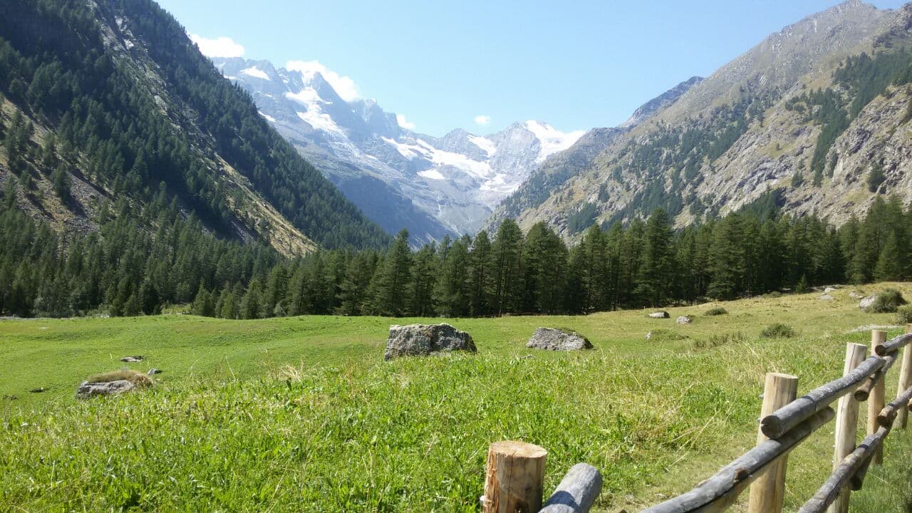 Cogne — photo 4
