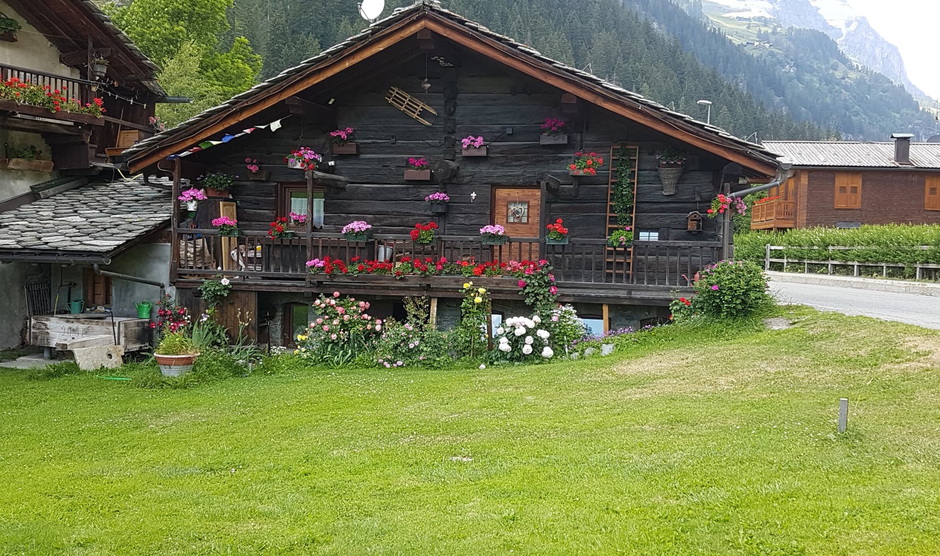 Gressoney-Saint-Jean — photo 4