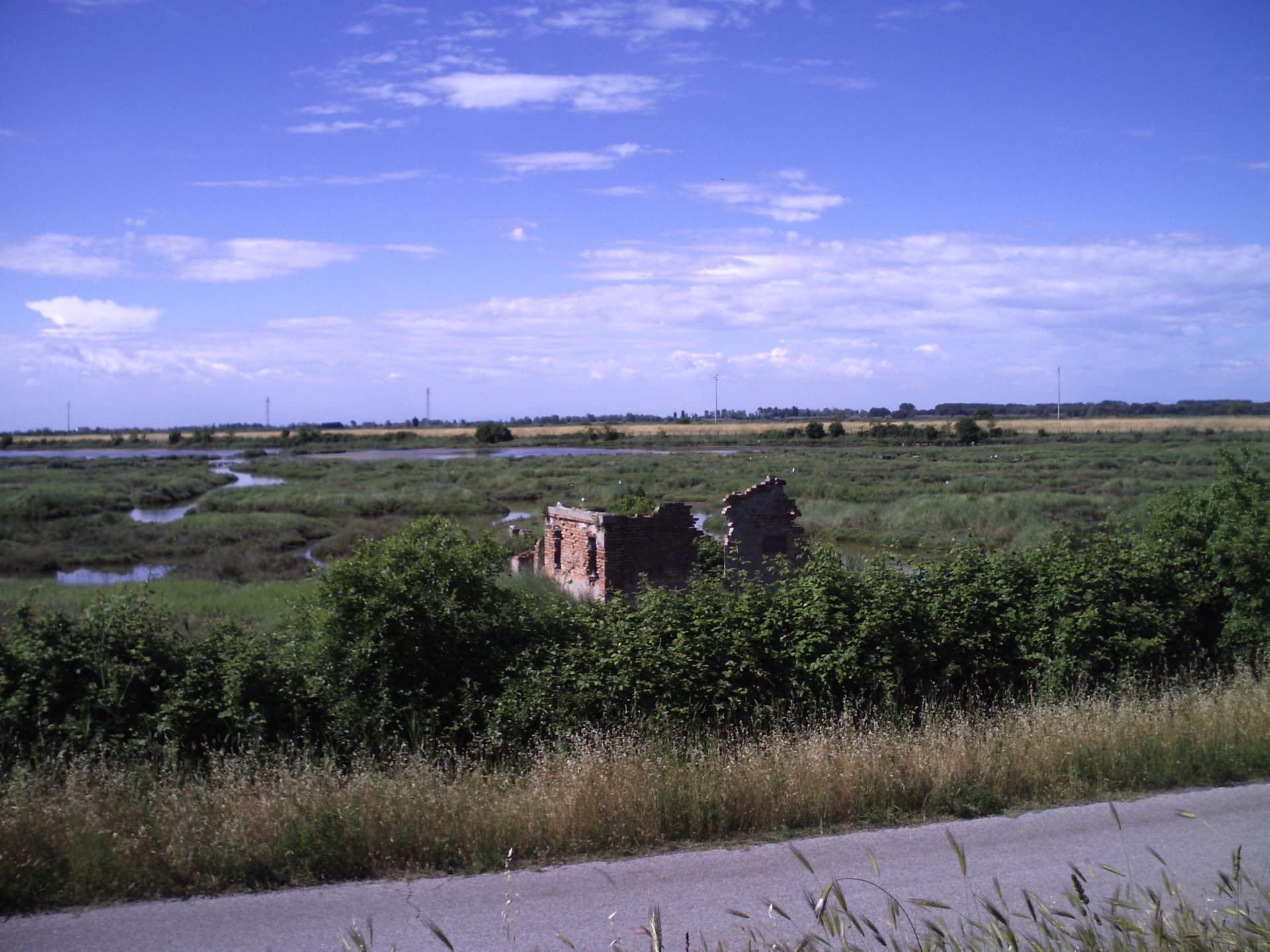 Rosolina — photo 5