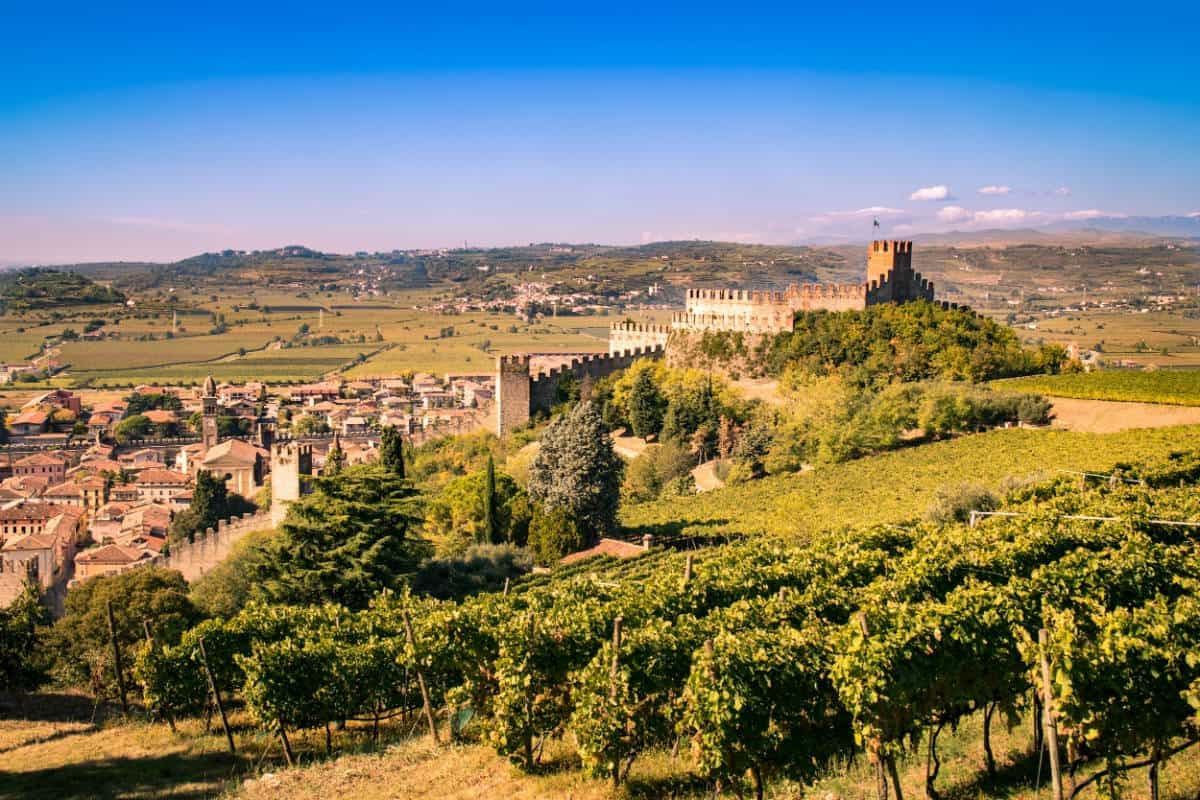 Soave — photo 4