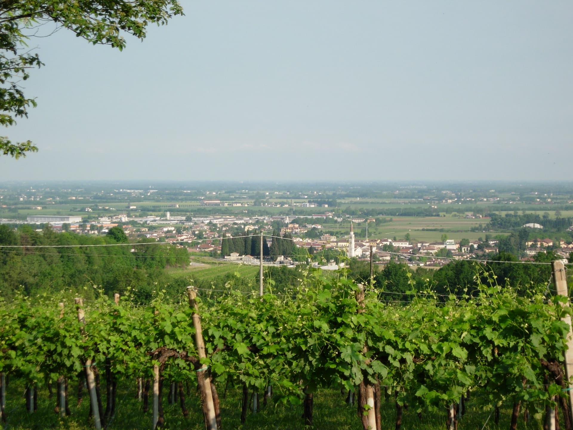 Susegana — photo 2