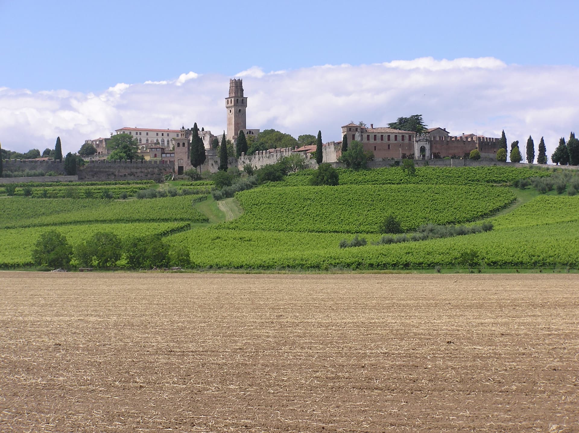 Susegana — photo 4