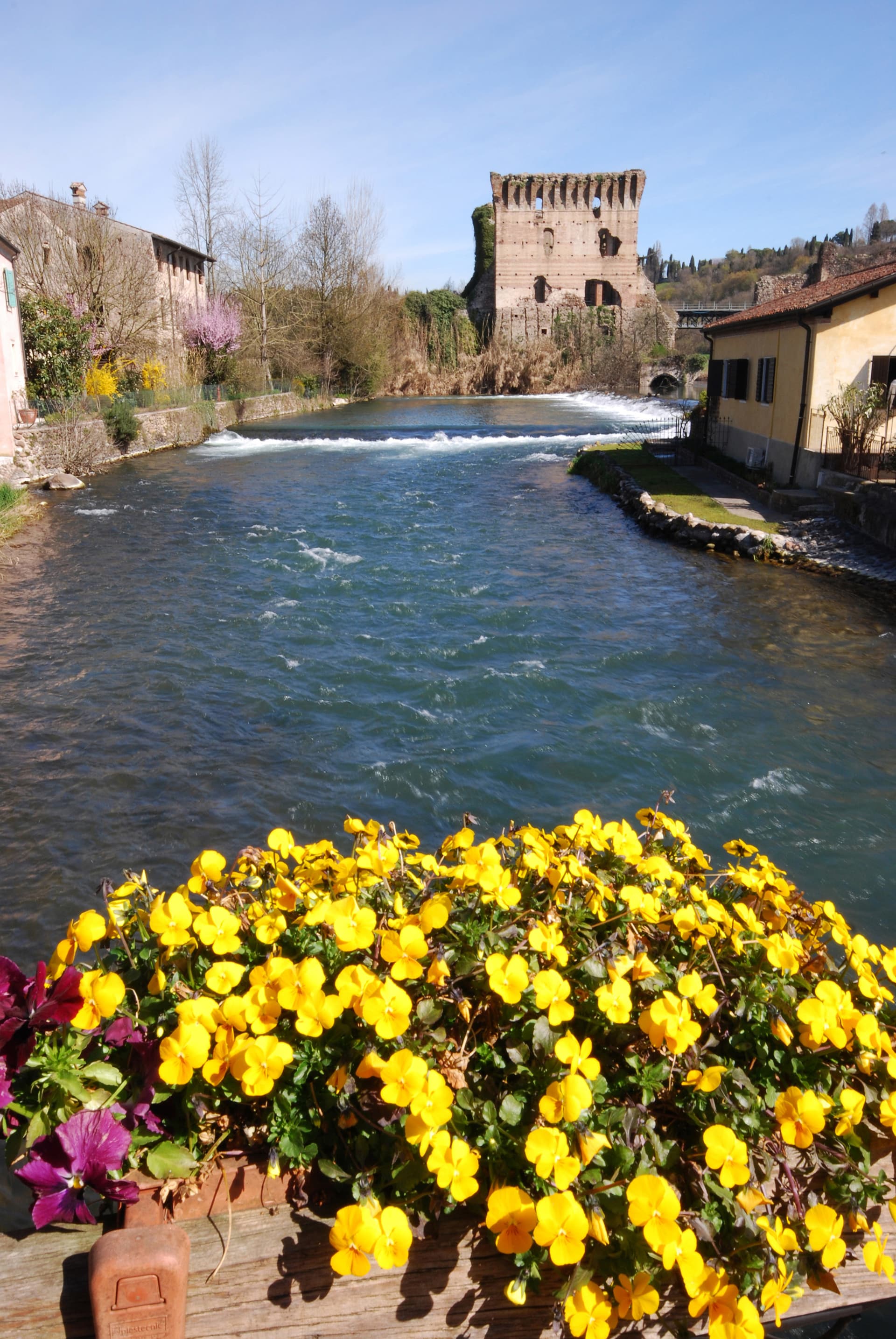 Valeggio sul Mincio — photo 2