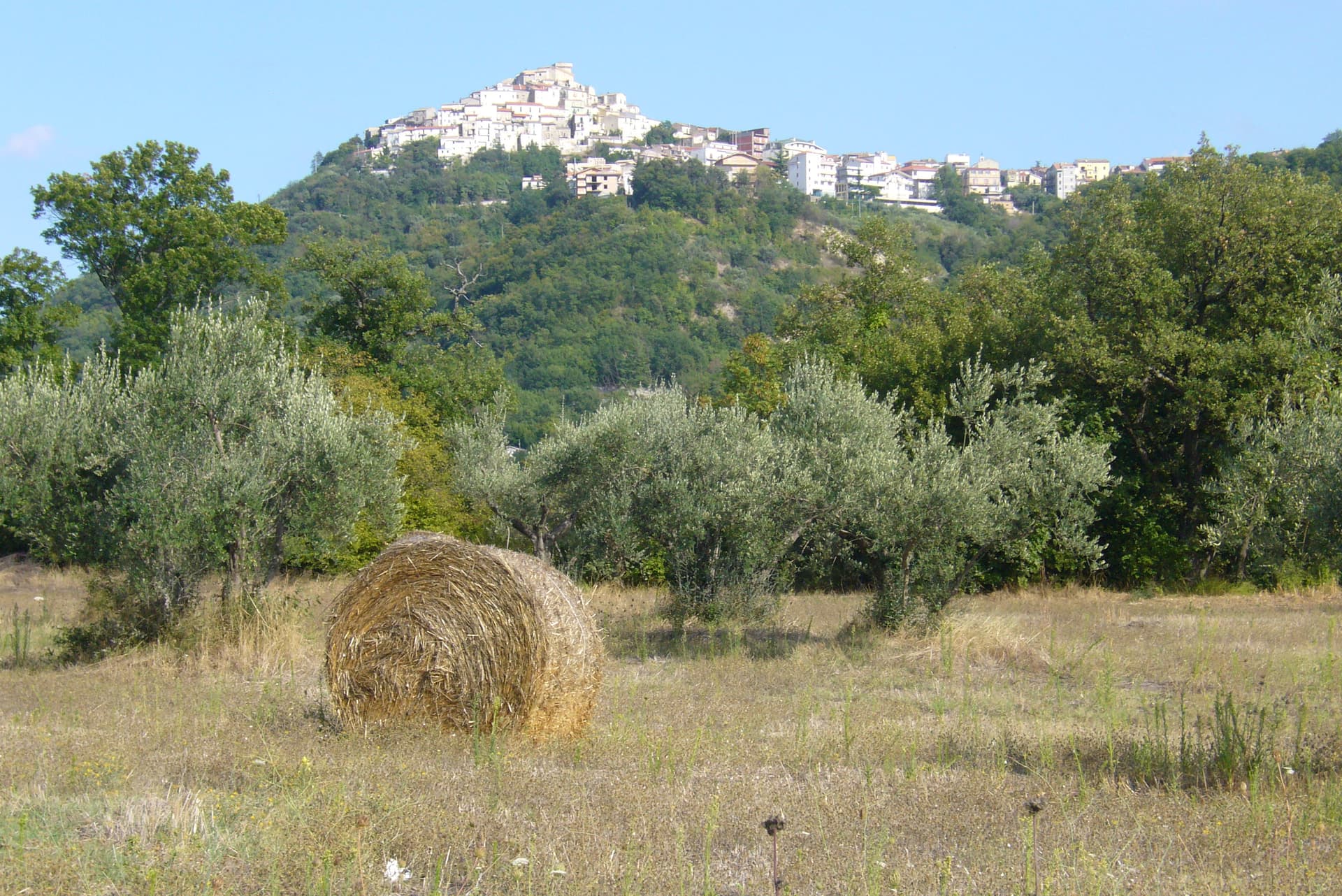 Casoli