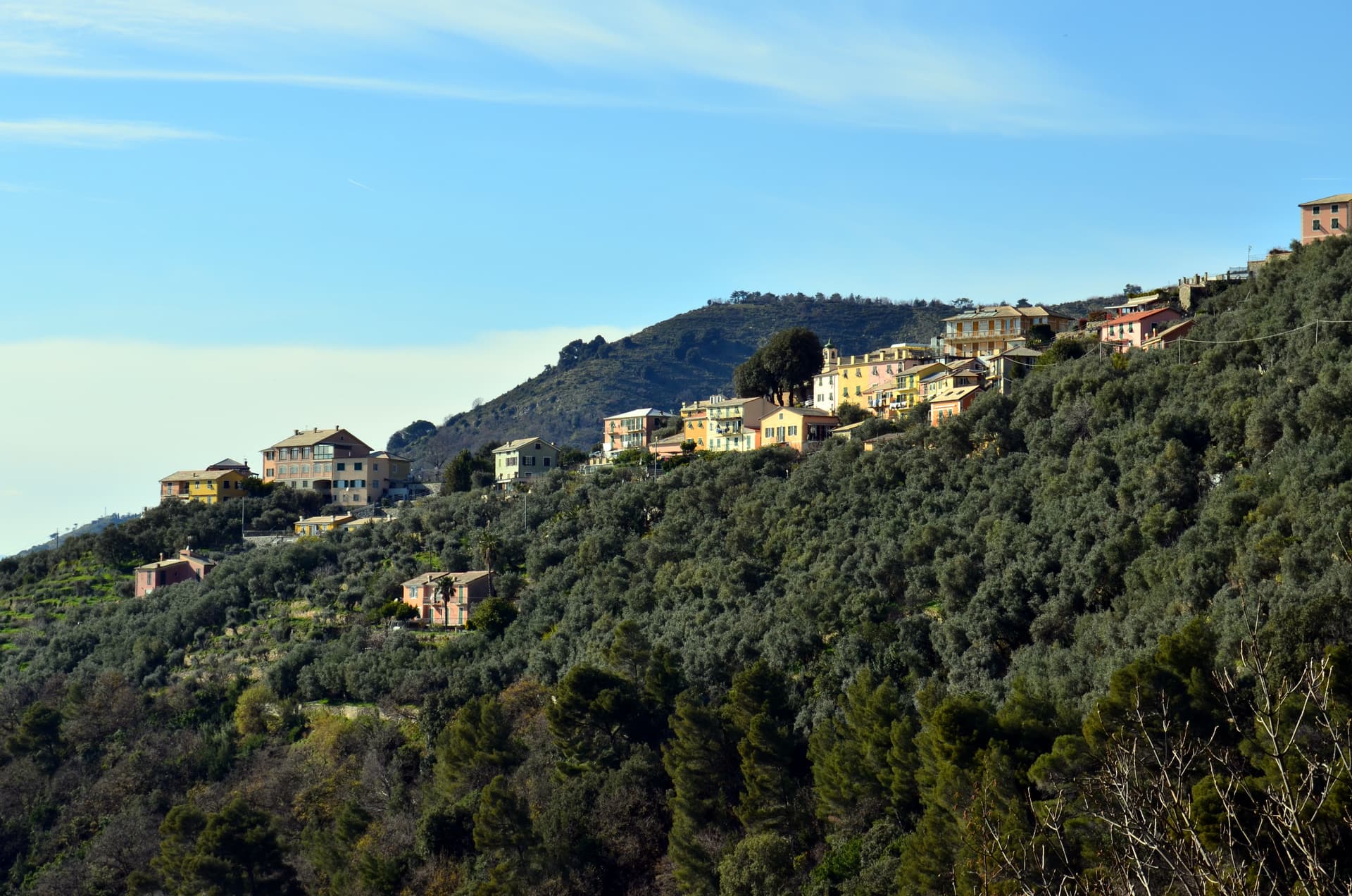 Bogliasco