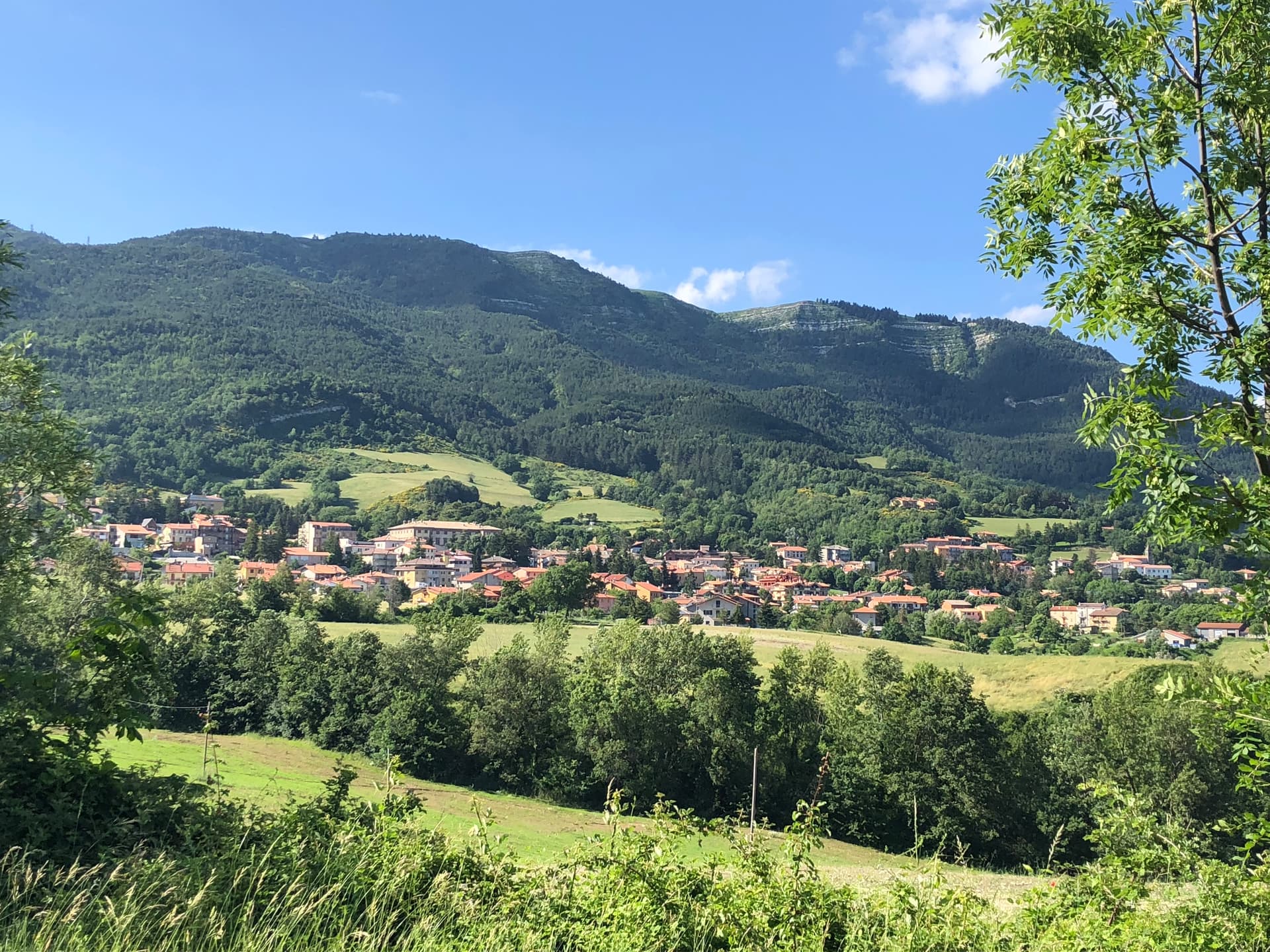 Carpegna