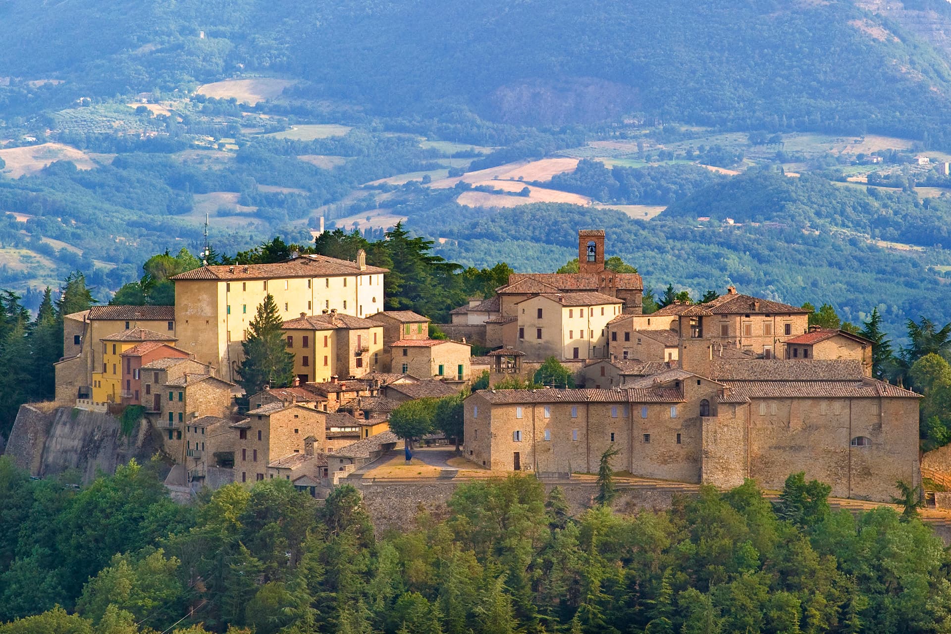Montone